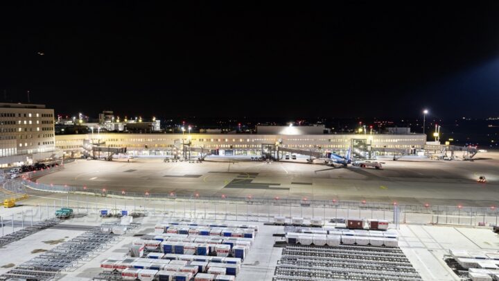 Scorpion Stings Passenger at Düsseldorf Airport After Flight From Kos