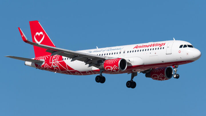 Animawings Suspends Operations Amid Insolvency, Grounds Entire A220 Fleet