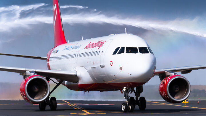 Animawings on The Verge of Losing Their Last Two Aircraft